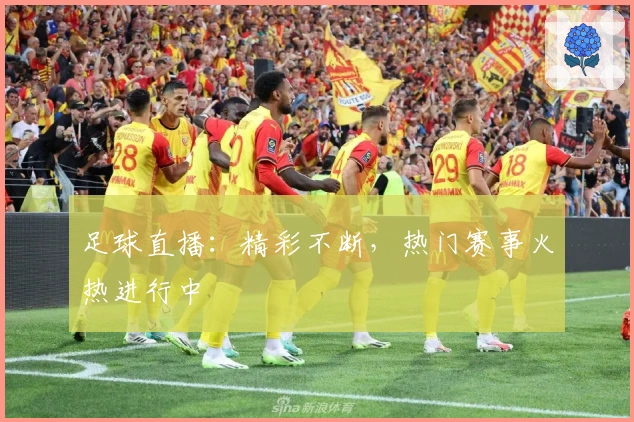 足球直播：精彩不断，热门赛事火热进行中